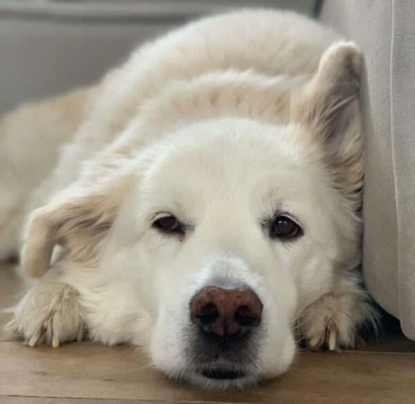 Sonderanfertigung – Bild 2